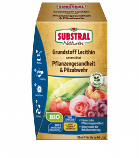 Evergreen_Grundstoff_Lecithin_DE