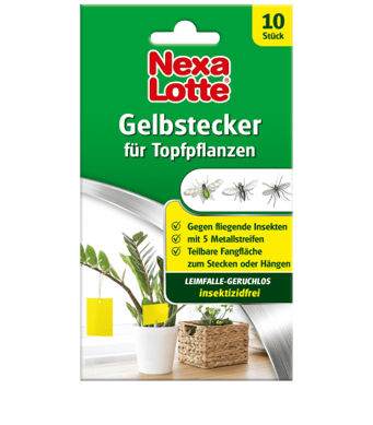 Evergreen_NL_Gelbstecker
