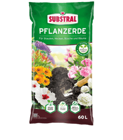 Evergreen_Substral_Pflanzerde
