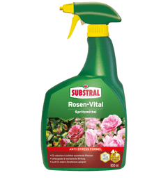 Evergreen_Substral_Rosen-Vital