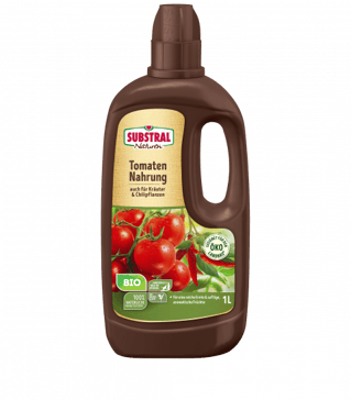 Evergreen_Tomatennahrung