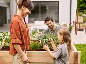 Familie bei der Ernte