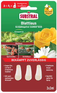 SB_Blattlaus_Ampullen_DE