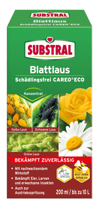 SB_Blattlaus_Careo_Eco