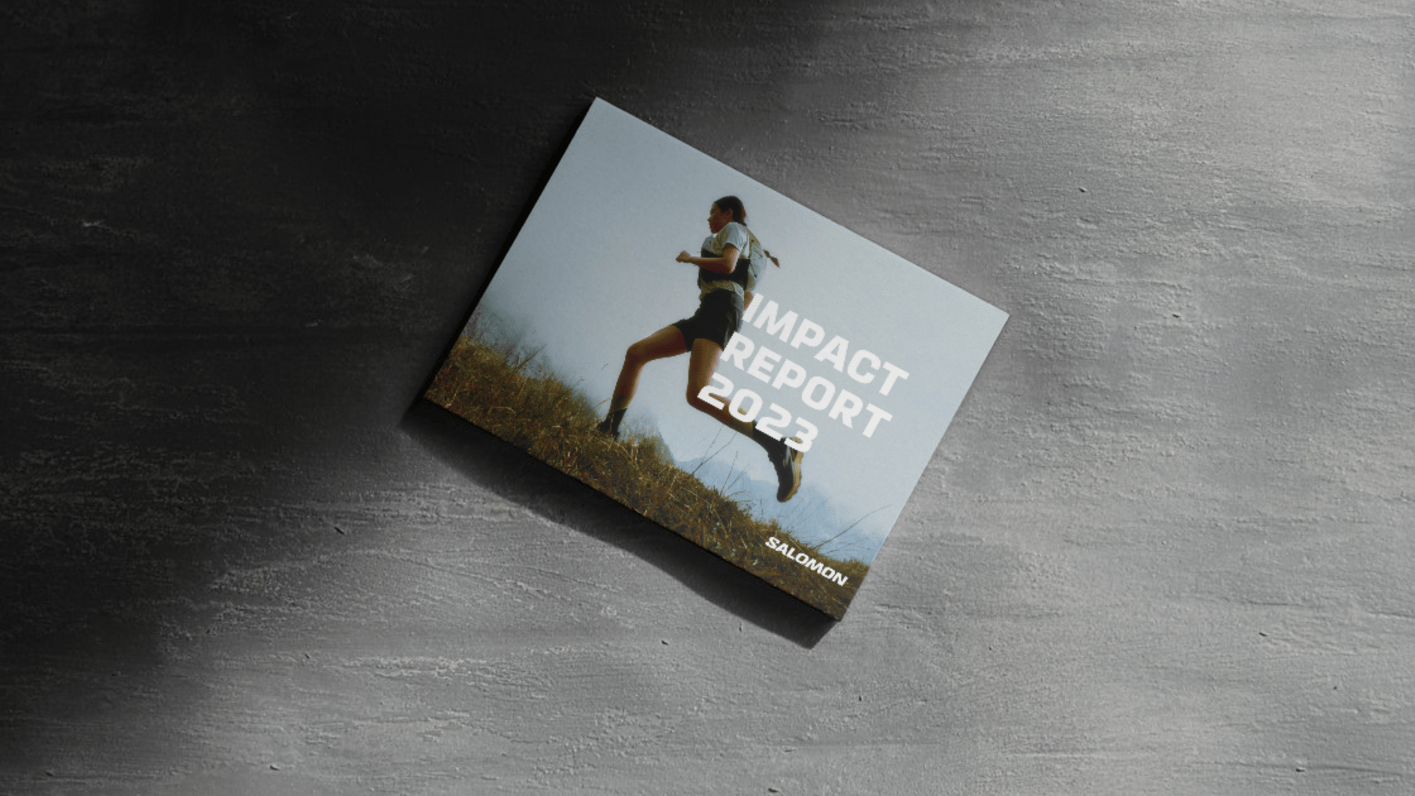 Salomon Impact Report