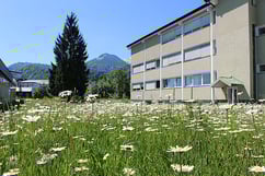 csm_WM_Hallein_2dd4235c80