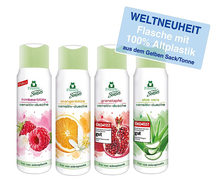 winterharte agaven kaufen Agave "Agathe  Agavenpflanze in Grtnerqualitt kaufen