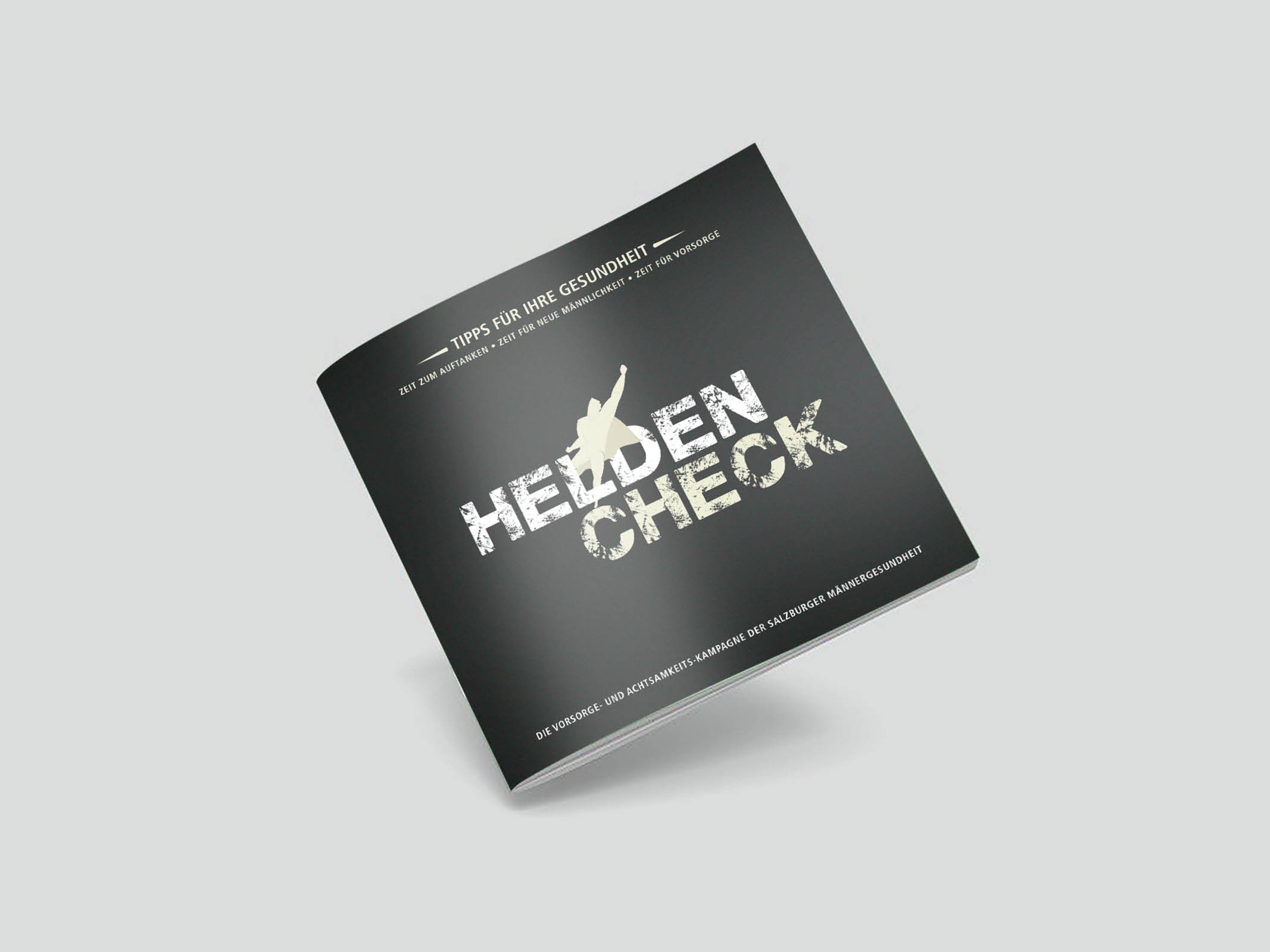 Plenos_Heldencheck_Case10